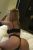 Konyaaltı Escort Bayan Nefes - Image 2
