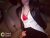 Gündoğmuş Vip Escort Selda İle Kaliteli Seks - Image 2