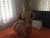 Özel Escort Pelin ile Sabahlayın - Image 9
