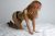 Kızıl Saçlı Alımlı Escort Bayan Songül - Image 3