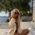 Antalya Muhteşem Escort İlayda - Image 1