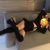 Azgın Antalya oral escort Hira - Image 2