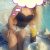 Bakımlı Antalya Olgun Escort Hatun Ezgi Sizi Mest Edecek - Image 3